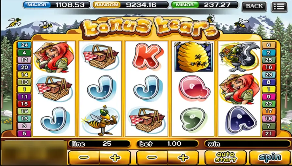 Bonus Bears on ACE333 with a park ranger, picnic baskets, a beehive, a bee and a skunk, 25 lines at a bet of 1.00